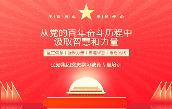 从党的百年奋斗历程中汲取智慧和力量